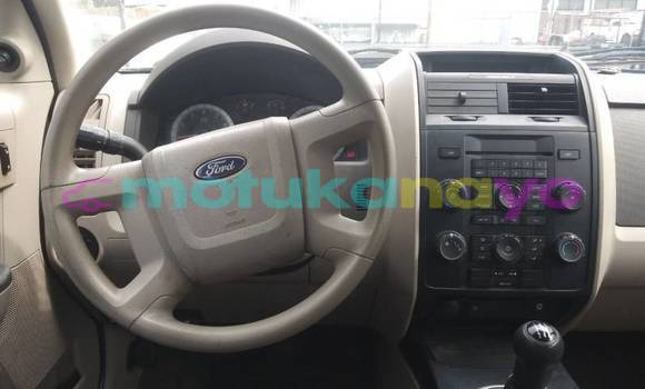 Buy Import Ford Escape Blue Car in Bafwasende in Haut-Congo Buy Import Ford Escape Blue Car in Bafwasende in Haut-Congo
