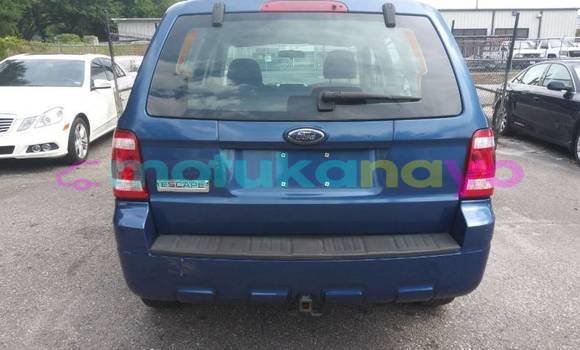 Buy Import Ford Escape Blue Car in Bafwasende in Haut-Congo Buy Import Ford Escape Blue Car in Bafwasende in Haut-Congo