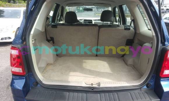 Buy Import Ford Escape Blue Car in Bafwasende in Haut-Congo Buy Import Ford Escape Blue Car in Bafwasende in Haut-Congo