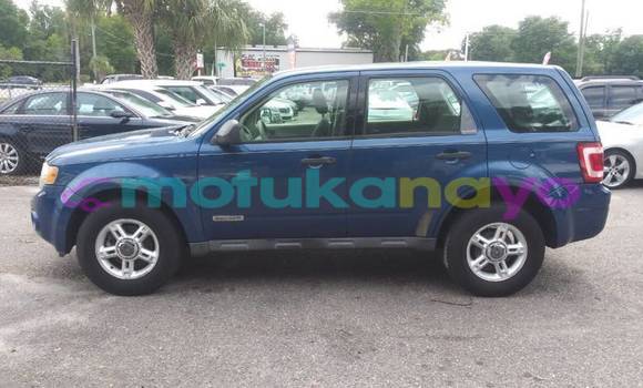 Buy Import Ford Escape Blue Car in Bafwasende in Haut-Congo Buy Import Ford Escape Blue Car in Bafwasende in Haut-Congo
