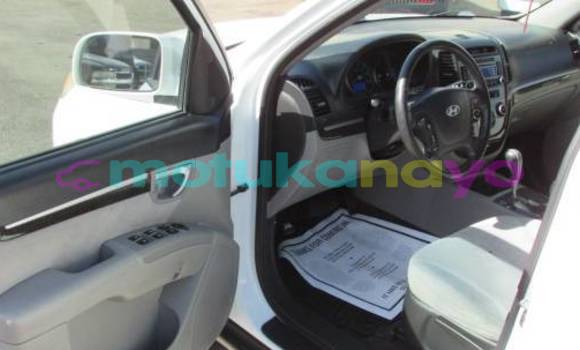 Buy Import Hyundai Santa Fe White Car in Kinshasa in Kinshasa Buy Import Hyundai Santa Fe White Car in Kinshasa in Kinshasa
