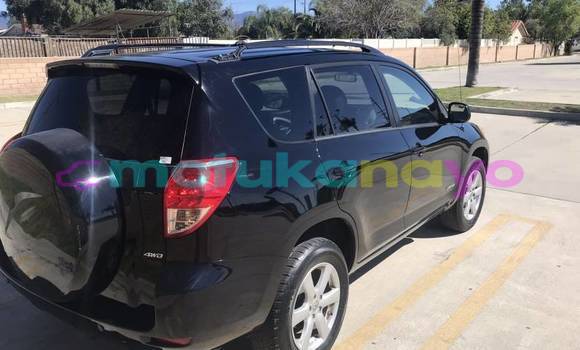 Buy Import Toyota RAV4 Black Car in Banalia in Haut-Congo Buy Import Toyota RAV4 Black Car in Banalia in Haut-Congo