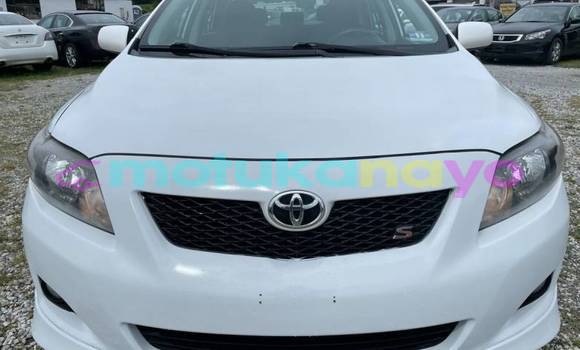 Buy Import Toyota Corolla White Car in Beni in Nord-Kivu Buy Import Toyota Corolla White Car in Beni in Nord-Kivu