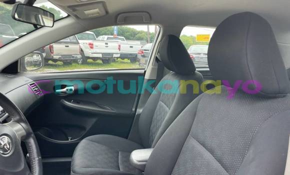 Buy Import Toyota Corolla White Car in Beni in Nord-Kivu Buy Import Toyota Corolla White Car in Beni in Nord-Kivu