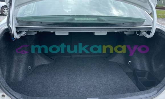 Buy Import Toyota Corolla White Car in Beni in Nord-Kivu Buy Import Toyota Corolla White Car in Beni in Nord-Kivu