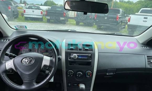 Buy Import Toyota Corolla White Car in Beni in Nord-Kivu Buy Import Toyota Corolla White Car in Beni in Nord-Kivu