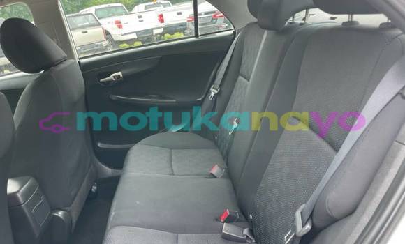 Buy Import Toyota Corolla White Car in Beni in Nord-Kivu Buy Import Toyota Corolla White Car in Beni in Nord-Kivu