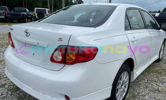 Buy Import Toyota Corolla White Car in Beni in Nord-Kivu Buy Import Toyota Corolla White Car in Beni in Nord-Kivu