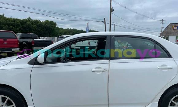 Buy Import Toyota Corolla White Car in Beni in Nord-Kivu Buy Import Toyota Corolla White Car in Beni in Nord-Kivu