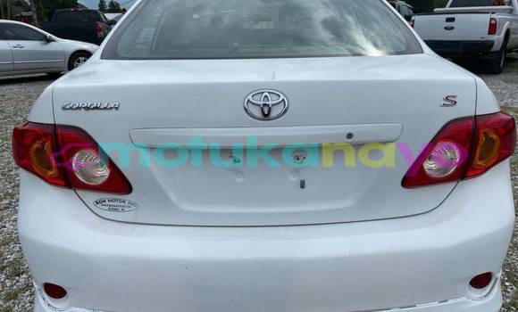 Buy Import Toyota Corolla White Car in Beni in Nord-Kivu Buy Import Toyota Corolla White Car in Beni in Nord-Kivu