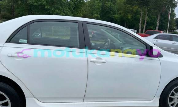 Buy Import Toyota Corolla White Car in Beni in Nord-Kivu Buy Import Toyota Corolla White Car in Beni in Nord-Kivu