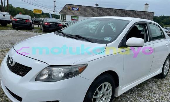 Buy Import Toyota Corolla White Car in Beni in Nord-Kivu Buy Import Toyota Corolla White Car in Beni in Nord-Kivu