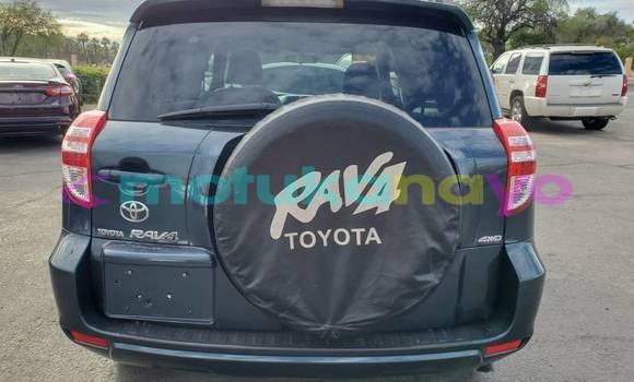 Buy Import Toyota RAV 4 Beige Car in Binga in Equateur Buy Import Toyota RAV 4 Beige Car in Binga in Equateur