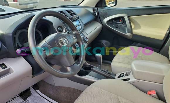 Buy Import Toyota RAV 4 Beige Car in Binga in Equateur Buy Import Toyota RAV 4 Beige Car in Binga in Equateur