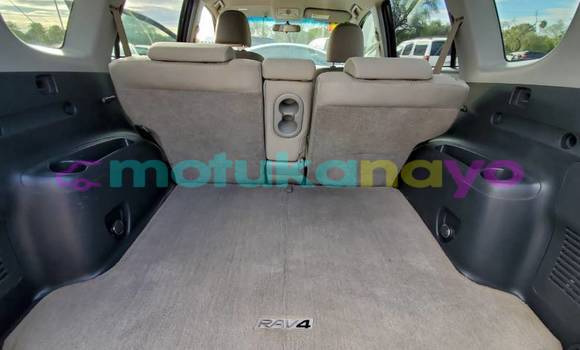 Buy Import Toyota RAV 4 Beige Car in Binga in Equateur Buy Import Toyota RAV 4 Beige Car in Binga in Equateur