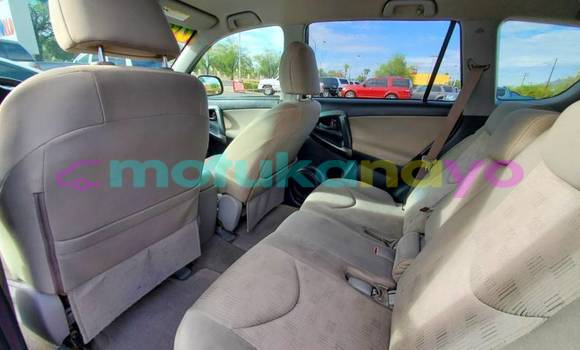 Buy Import Toyota RAV 4 Beige Car in Binga in Equateur Buy Import Toyota RAV 4 Beige Car in Binga in Equateur