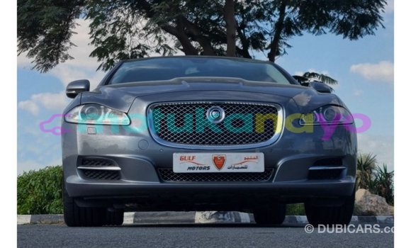 Buy Import Jaguar XJ Other Car in Import - Dubai in Bandundu Buy Import Jaguar XJ Other Car in Import - Dubai in Bandundu