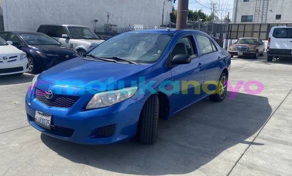 Buy Import Toyota Corolla Blue Car in Demba in Kasai-Occidental Buy Import Toyota Corolla Blue Car in Demba in Kasai-Occidental
