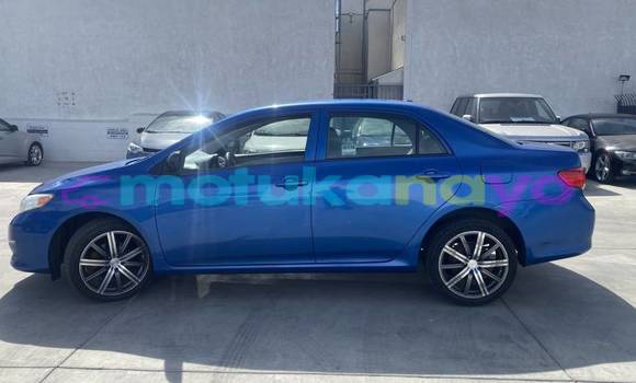 Buy Import Toyota Corolla Blue Car in Demba in Kasai-Occidental Buy Import Toyota Corolla Blue Car in Demba in Kasai-Occidental
