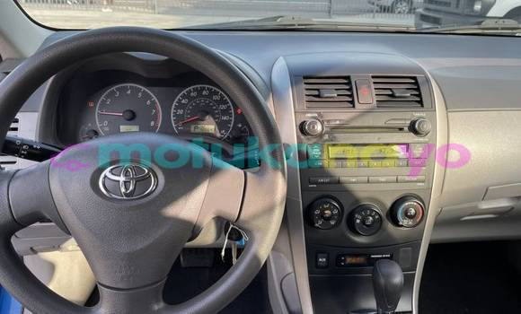 Buy Import Toyota Corolla Blue Car in Demba in Kasai-Occidental Buy Import Toyota Corolla Blue Car in Demba in Kasai-Occidental