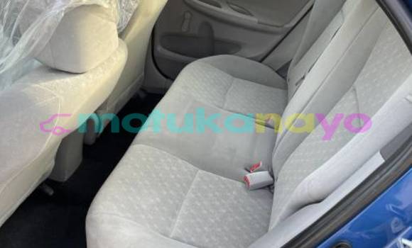 Buy Import Toyota Corolla Blue Car in Demba in Kasai-Occidental Buy Import Toyota Corolla Blue Car in Demba in Kasai-Occidental