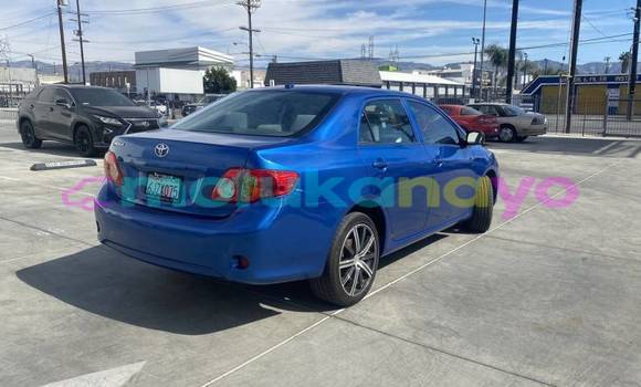 Buy Import Toyota Corolla Blue Car in Demba in Kasai-Occidental Buy Import Toyota Corolla Blue Car in Demba in Kasai-Occidental
