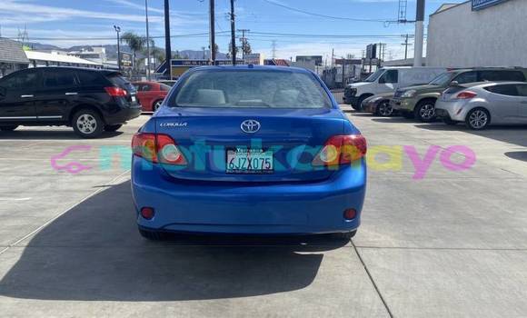 Buy Import Toyota Corolla Blue Car in Demba in Kasai-Occidental Buy Import Toyota Corolla Blue Car in Demba in Kasai-Occidental