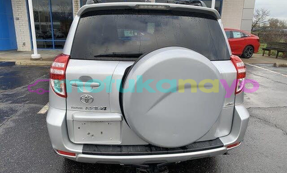 Buy Import Toyota RAV 4 Silver Car in Dibaya in Kasai-Occidental Buy Import Toyota RAV 4 Silver Car in Dibaya in Kasai-Occidental