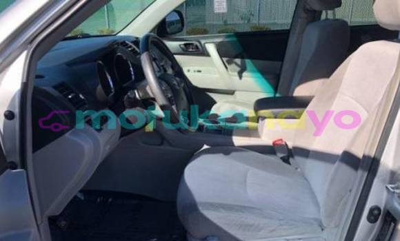Buy Import Toyota Highlander Silver Car in Itoko in Haut-Congo Buy Import Toyota Highlander Silver Car in Itoko in Haut-Congo
