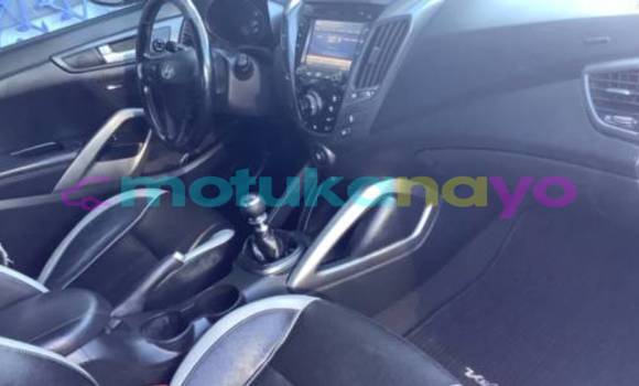 Buy Import Hyundai Veloster Blue Car in Butembo in Nord-Kivu Buy Import Hyundai Veloster Blue Car in Butembo in Nord-Kivu