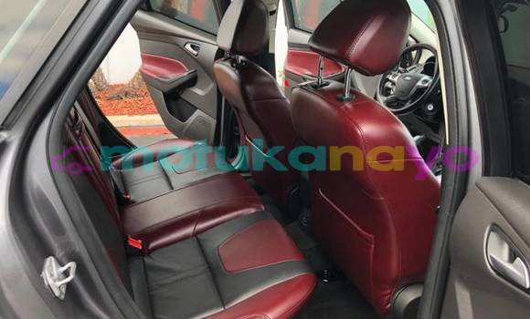 Buy Used Ford Focus Silver Car in Idiofa in Bandundu Buy Used Ford Focus Silver Car in Idiofa in Bandundu