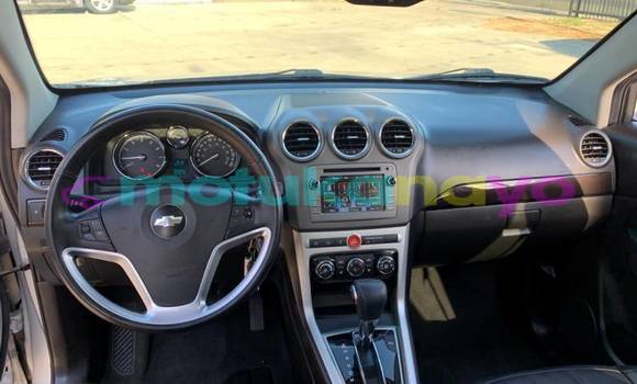 Buy Import Chevrolet Captiva Silver Car in Faradje in Haut-Congo Buy Import Chevrolet Captiva Silver Car in Faradje in Haut-Congo