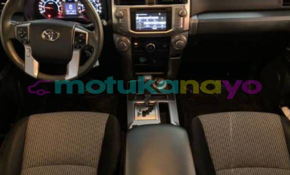 Buy Import Toyota 4Runner Silver Car in Isiro in Haut-Congo Buy Import Toyota 4Runner Silver Car in Isiro in Haut-Congo