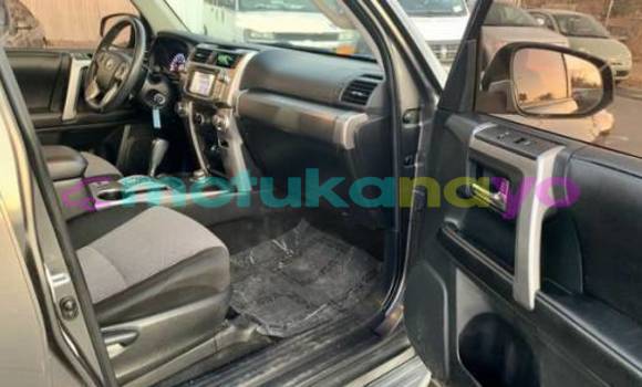 Buy Import Toyota 4Runner Silver Car in Isiro in Haut-Congo Buy Import Toyota 4Runner Silver Car in Isiro in Haut-Congo