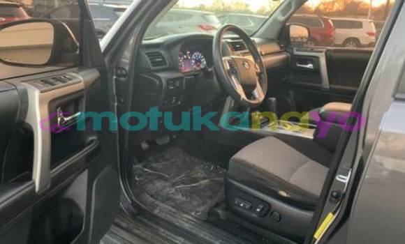 Buy Import Toyota 4Runner Silver Car in Isiro in Haut-Congo Buy Import Toyota 4Runner Silver Car in Isiro in Haut-Congo