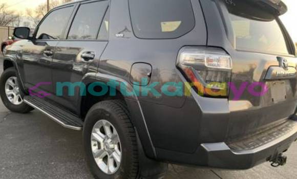 Buy Import Toyota 4Runner Silver Car in Isiro in Haut-Congo Buy Import Toyota 4Runner Silver Car in Isiro in Haut-Congo