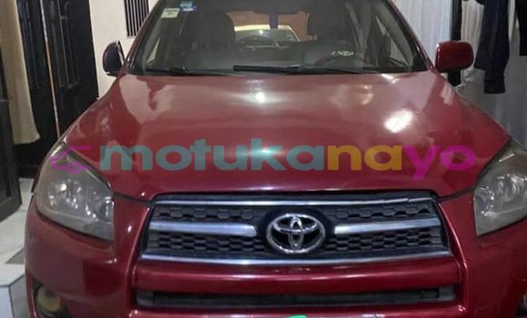 Buy Used Toyota RAV4 Red Car in Kinshasa in Kinshasa Buy Used Toyota RAV4 Red Car in Kinshasa in Kinshasa