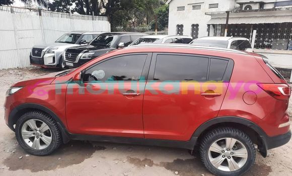 Buy Used Kia Sportage Red Car in Kinshasa in Kinshasa