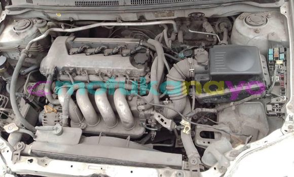 Acheter Occasion Voiture Toyota Allex Gris à Kinshasa, Kinshasa Acheter Occasion Voiture Toyota Allex Gris à Kinshasa, Kinshasa