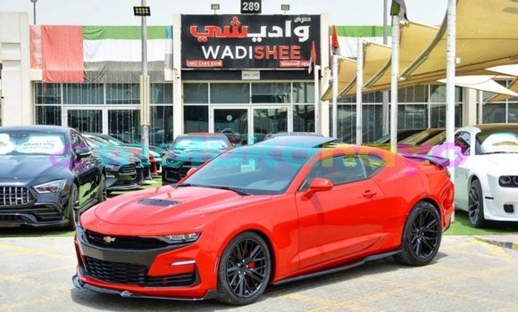 Acheter Import Voiture Chevrolet Camaro Rouge à Import - Dubai, Bandundu