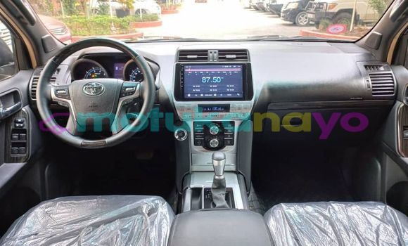 Buy Used Toyota Land Cruiser Prado Black Car in Aba in Haut-Congo Buy Used Toyota Land Cruiser Prado Black Car in Aba in Haut-Congo