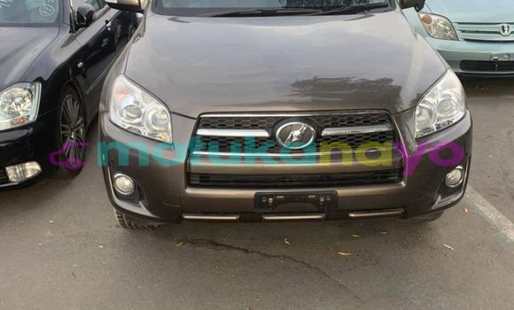 Buy Used Toyota RAV4 Brown Car in Kinshasa in Kinshasa Buy Used Toyota RAV4 Brown Car in Kinshasa in Kinshasa