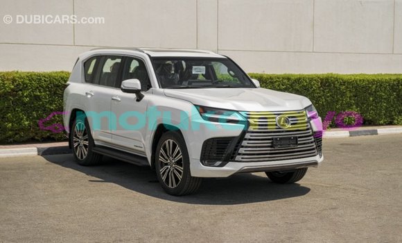 Buy Import Lexus LX White Car in Import - Dubai in Bandundu Buy Import Lexus LX White Car in Import - Dubai in Bandundu