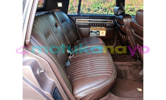 Buy Import Cadillac Escalade Brown Car in Import - Dubai in Bandundu Buy Import Cadillac Escalade Brown Car in Import - Dubai in Bandundu