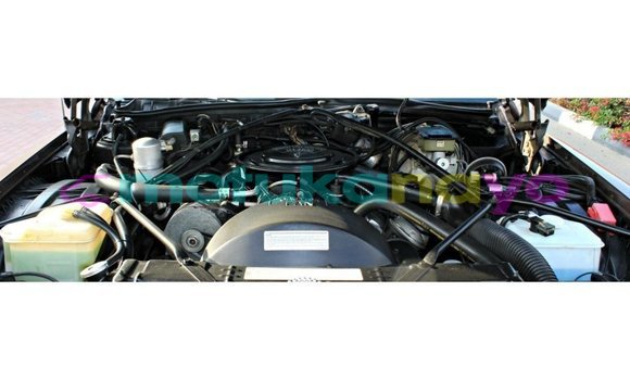 Buy Import Cadillac Escalade Brown Car in Import - Dubai in Bandundu Buy Import Cadillac Escalade Brown Car in Import - Dubai in Bandundu