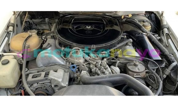 Acheter Import Voiture Mercedes-Benz 190 (W201) Blanc à Import - Dubai, Bandundu Acheter Import Voiture Mercedes-Benz 190 (W201) Blanc à Import - Dubai, Bandundu