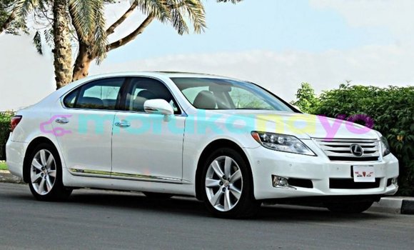 Buy Import Lexus LS White Car in Import - Dubai in Bandundu Buy Import Lexus LS White Car in Import - Dubai in Bandundu
