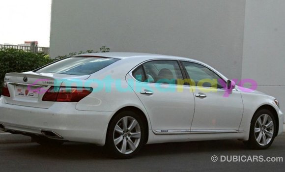 Buy Import Lexus LS White Car in Import - Dubai in Bandundu Buy Import Lexus LS White Car in Import - Dubai in Bandundu