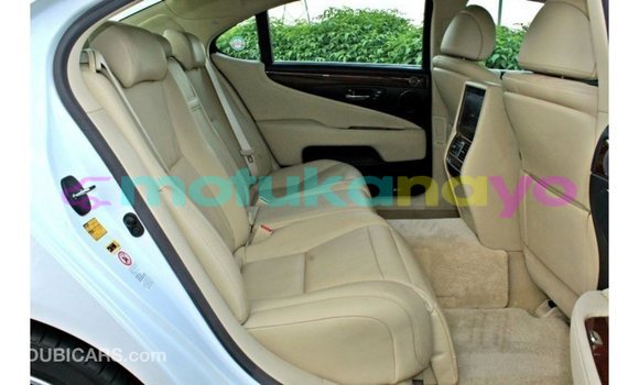Buy Import Lexus LS White Car in Import - Dubai in Bandundu Buy Import Lexus LS White Car in Import - Dubai in Bandundu